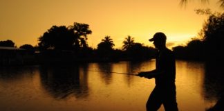 Summer stockings of Murray cod continue fishing