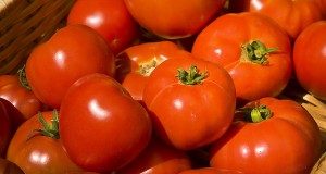 More highly skilled workers are needed to grow food industry according to study