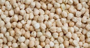 Chickpeas farmers dwell on new found hope chick peas 384513 m