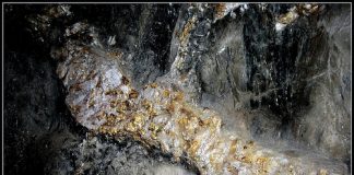 The Andy Well Gold Project officially opened