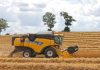 New terms of Farm Finance debt relief package announced for Queensland, NSW and Victoria