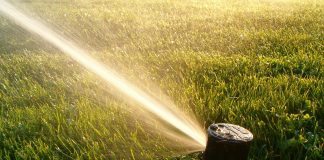 Dry spells compel Perth residents to focus on Fresh Water Thinking