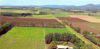 Agricultural hub to boost North Queensland’s economy