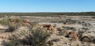 Silver Lake closure leaves 120 workers jobless