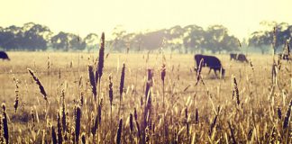 2014 Rural Women’s Award finalists announced