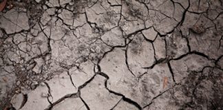 Queensland’s drought aid receives a $20 million boost