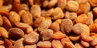 Monsanto targets local growth