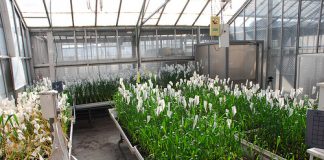 Victorian Coalition Government supports new Bayer Centre