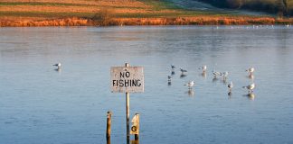 AFMA declares war on illegal fishing