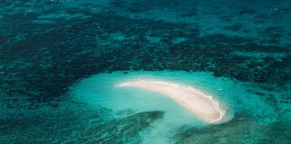 Reef facts to be revealed in TV commercials