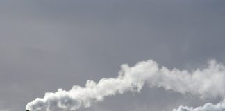 High concentrations of CO2 to drain nutritional quality of future crops `