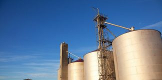 Australia’s GrainCorp profit shrinks as takeover talks linger on