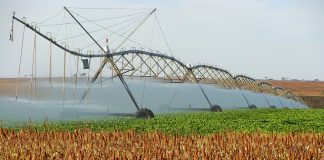 Surat Basin water release to boost agriculture and local industry