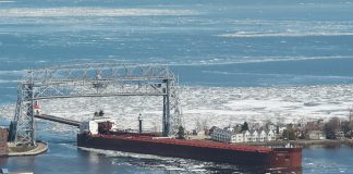 Fortescue invests in four ships to ease the impact from declining iron ore prices