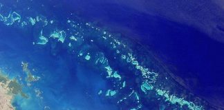 Ports Strategy to safeguard reef and grow jobs