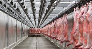 Frewstal expansion creates 98 jobs in Stawell