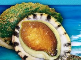 Biggest Australian abalone farm Great Southern Waters sold to Craig Mostyn
