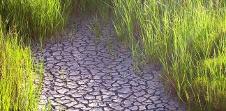 SA Government announces $10m in drought concessional loans