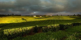 Gascoyne Food Bowl drilling program set to commence