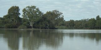 Unique fishway program launched in SA