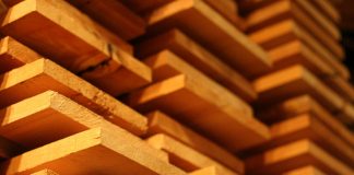 Blueprint delivers opportunities to grow SA’s forest industry