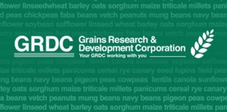 GRDC Spring Tours help grain growers and researchers alike