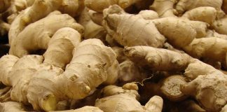 Fijian ginger shipments disappoint horticulture groups