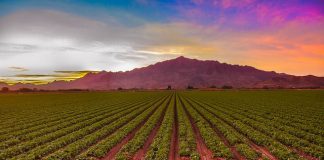 Goulburn valley farmers gain access to reliable water supply
