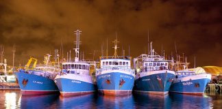 Digital trial to modernise rock lobster fishery