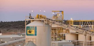 Doray Minerals announces Andy Well gold project milestones and operational update