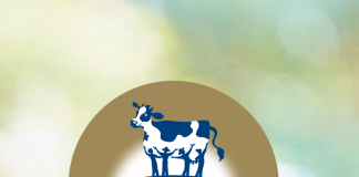 Murray Goulburn looking to capitalise on China FTA