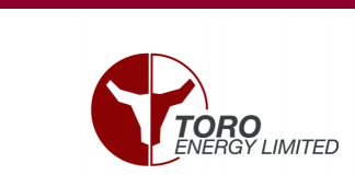 Toro Energy Managing Director joins Australia-India CEO Forum