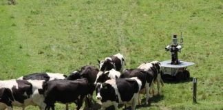 Robotics to bring back young people to Australian farms