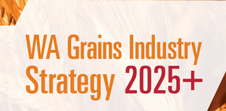 Minister Baston unveils WA Grains Industry Strategy 2025+