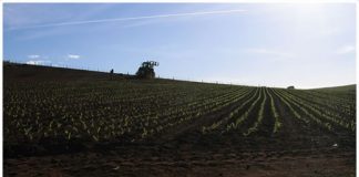 TPI Enterprises to list on ASX