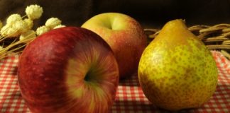 Victoria set to launch temperate fruit export pilot program