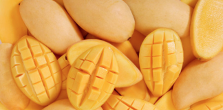 NT mango growers encouraged to dive into the lucrative US market