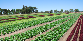 $17m in agricultural grants available in WA