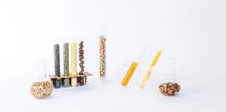 South Australia’s grain industry secures $50m research boost