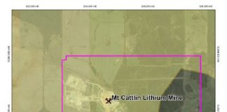 Kingston Resources pegs two lithium tenements in WA