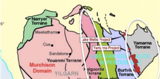 Sumimoto earns 50% interest in South Yamarna