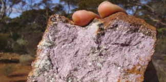 Maximus Resources reports high grade lithium discovery at Spargoville