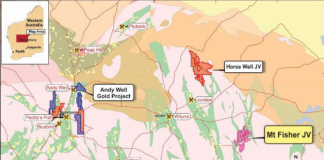 Doray and Rox sign farm-in agreement over Mount Fisher Gold Project