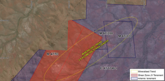 Artemis increases licence area at Silica Hills Gold Discovery