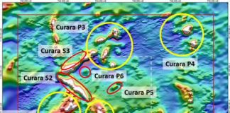 Venus Metals expands tenement holding in Doolgunna region