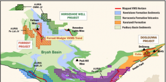 WA Government Co-Funded Drilling Program at Wodger