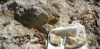 Government okays new lithium mine in the Northern Territory