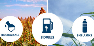 Queensland biofutures advancements on showcase at 2019 BIO World Congress