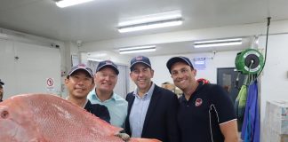 Cairns export hub to boost jobs in North Queensland