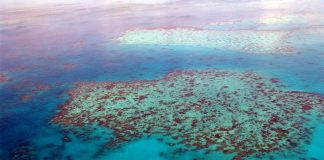 Queensland farmers to receive $10 million boost